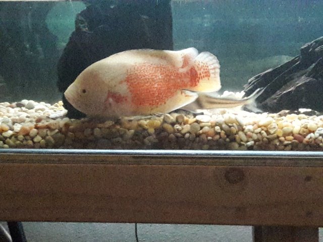 20180330_142546.jpg