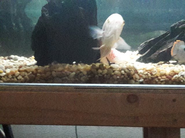 20180330_142551.jpg