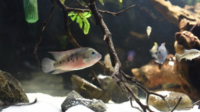 DSC_8573.JPG