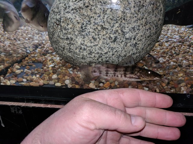IMG_20180331_113043.jpg