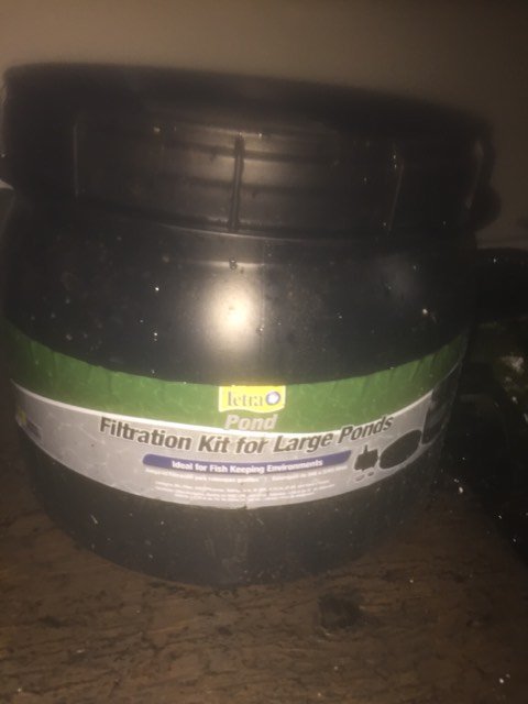 pondfilter1.jpg
