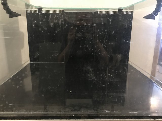 02F04579-3CA4-4E7C-ADC6-2FAEE4A943B3.jpeg