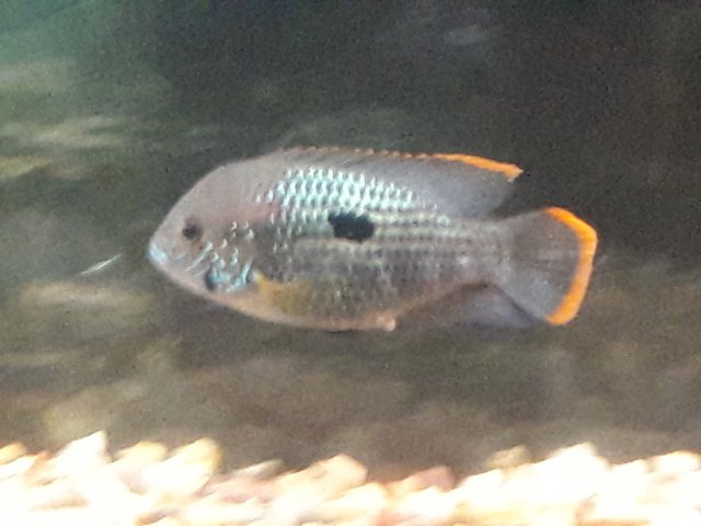 20180331_144238.jpg