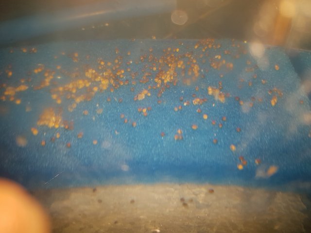 20180401_105844.jpg