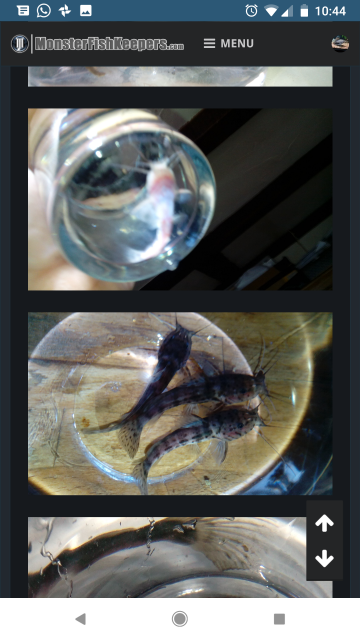 Screenshot_20180401-104427.png