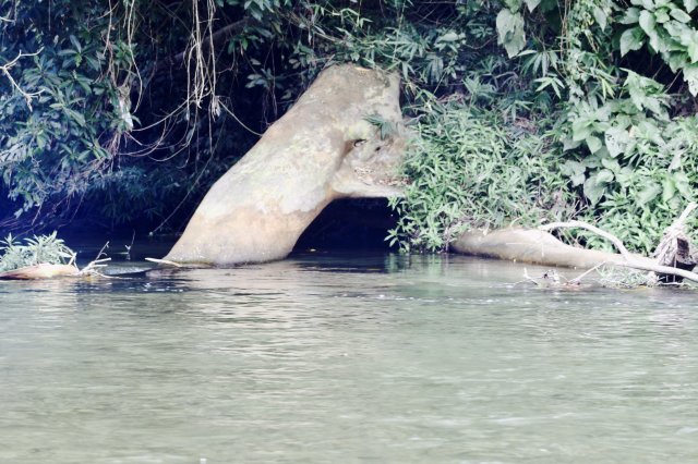 fullsizeoutput_2c2.jpeg fullsizeoutput_2c2.jpeg