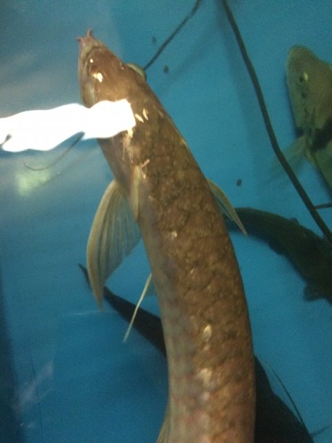 IMG_6348.JPG IMG_6348.JPG