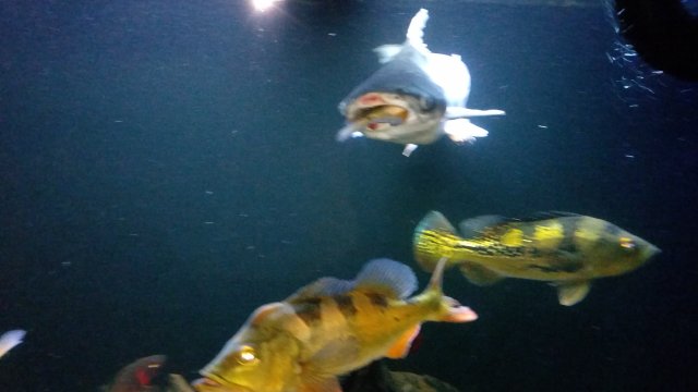 20170101_230857.jpg