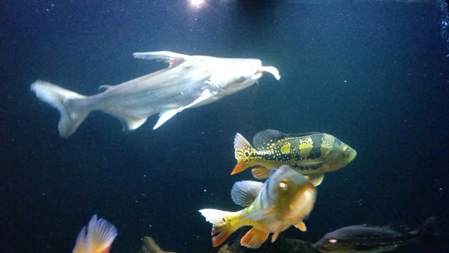 20170101_230855.jpg