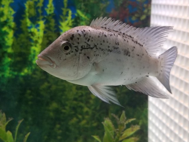 20180329_205548.jpg