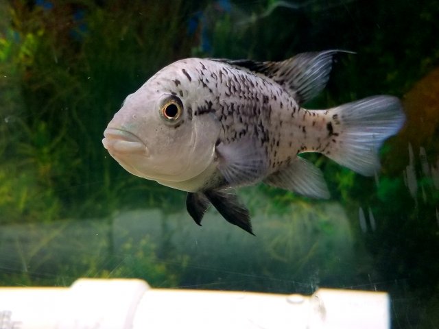 20180329_205903.jpg