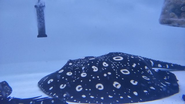 IMG20180325220031.jpg