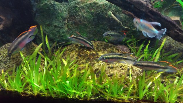 P_20171130_212222_vHDR_Auto.jpg