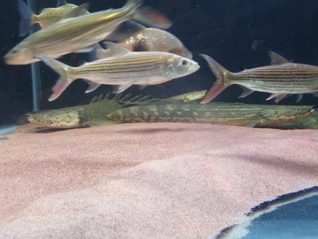 20180404_221740.jpg