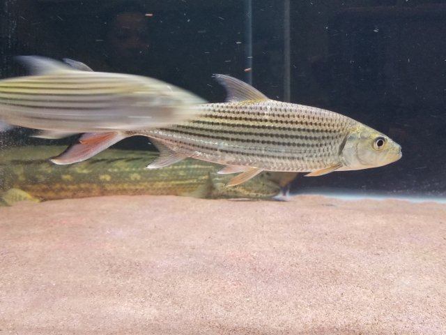 20180404_221705.jpg