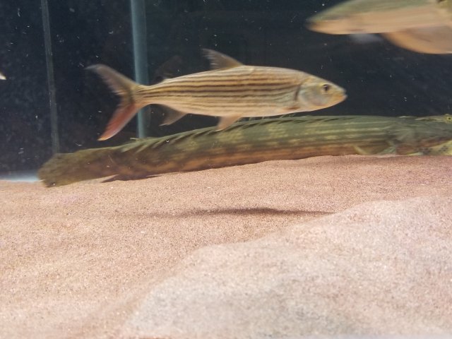 20180404_221644.jpg