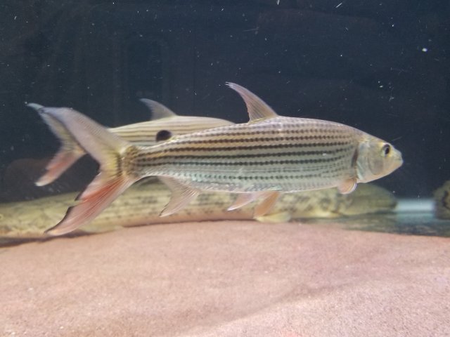 20180404_221640.jpg