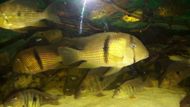 20180405_090731.jpg