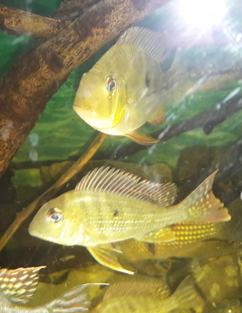 20180405_092139.jpg