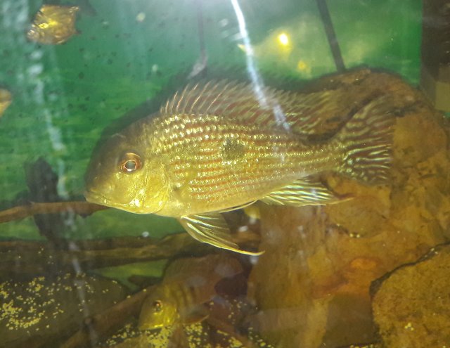 20180405_092109.jpg