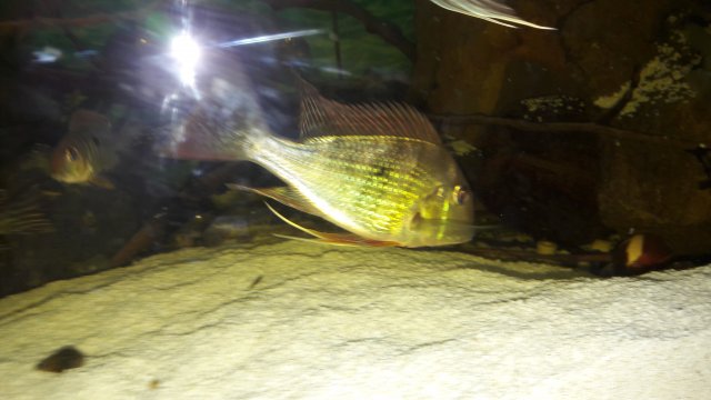 20180405_091845.jpg