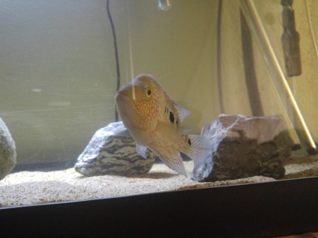 0405181119.jpg