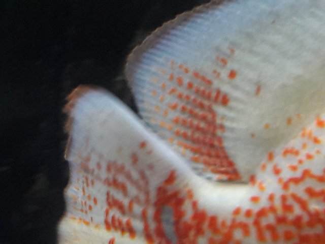 20180405_125342.jpg