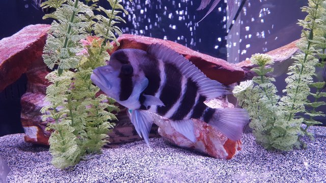 20180317_135216.jpg