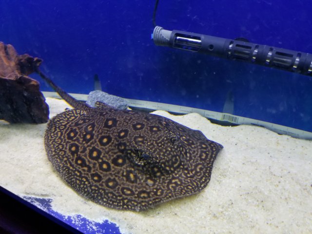 20180325_000520.jpg 20180325_000520.jpg