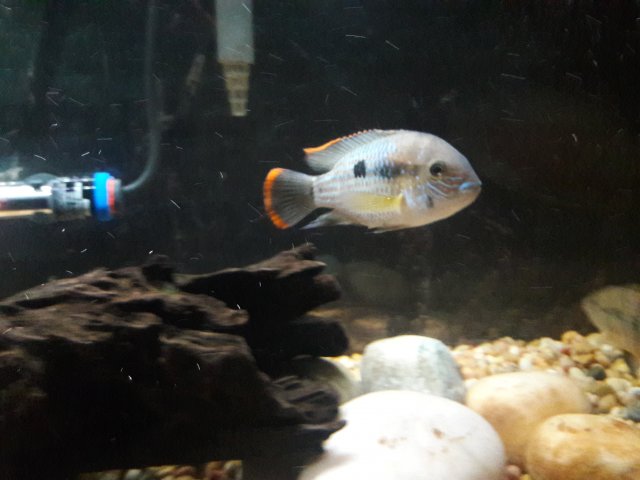 20180406_213947.jpg