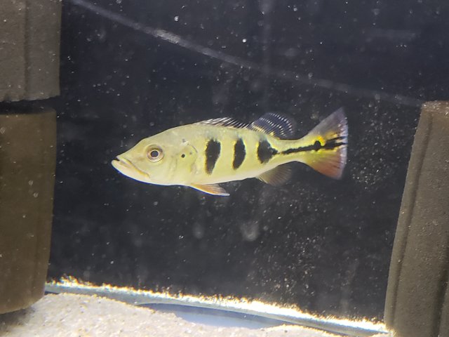 20180407_151116.jpg