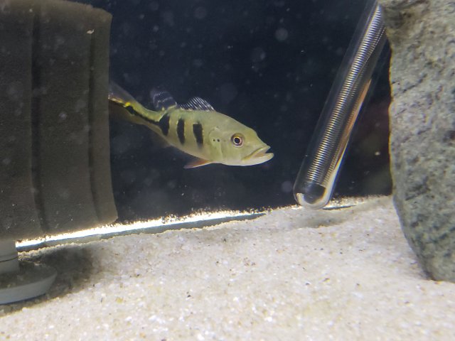 20180407_150728.jpg