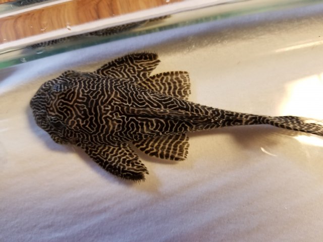 20180407_182937.jpg