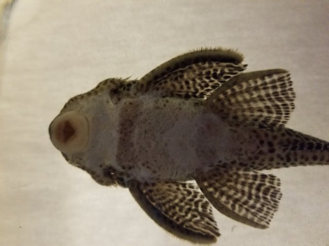 20180407_183121.jpg