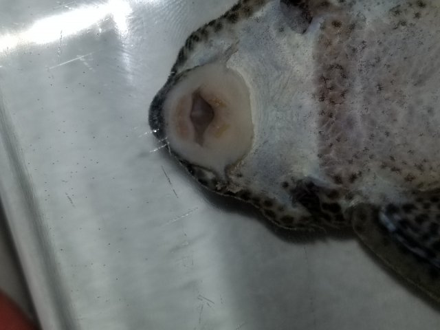 20180407_183159.jpg