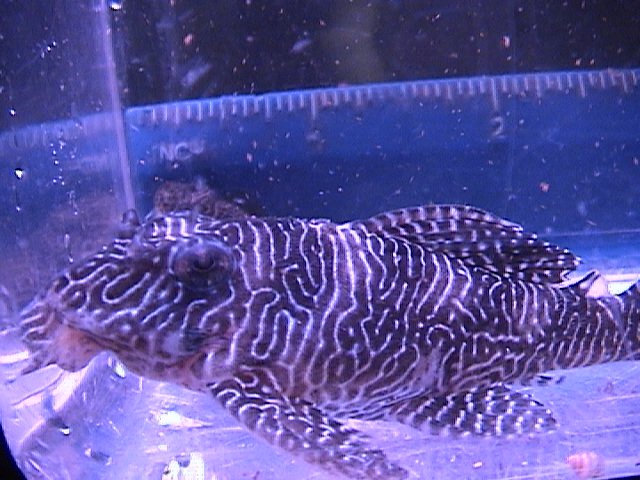 DSC00388.JPG