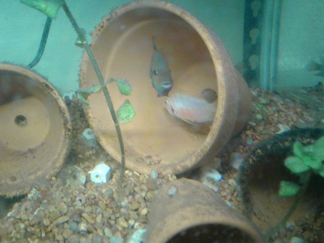 20180408_104411.jpg