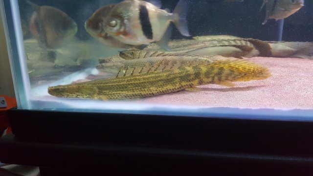 20180402_141821.jpg
