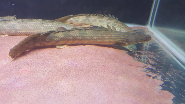 20180401_193527.jpg