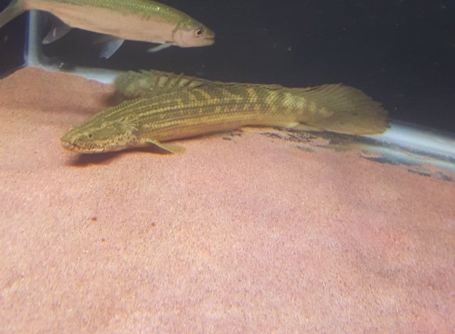 20180402_190114.jpg