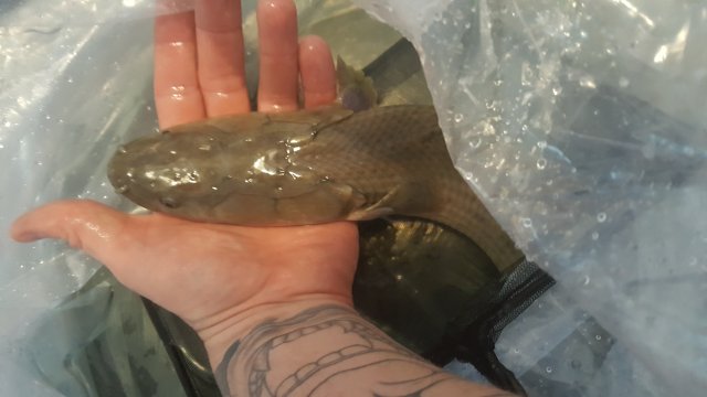 20180330_125226.jpg