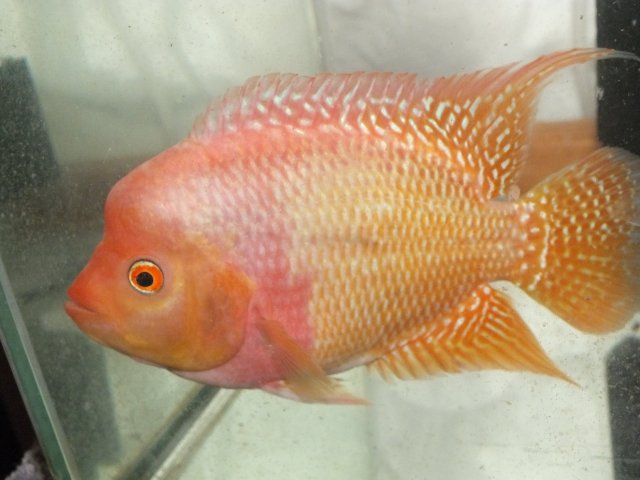 DSCF9769.JPG