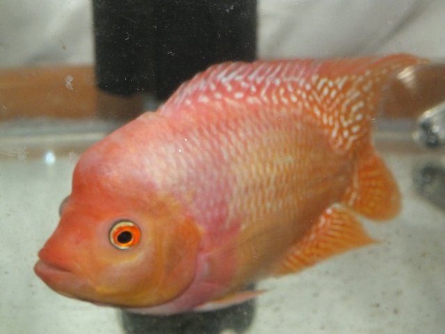 DSCF9767.JPG