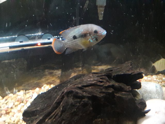 20180406_214619.jpg