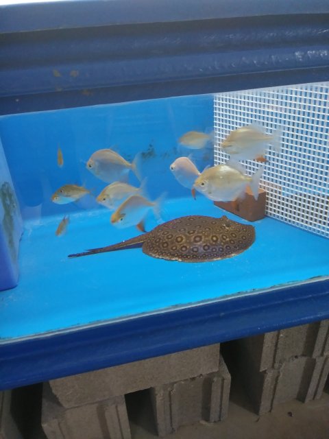 20180410_140535.jpg