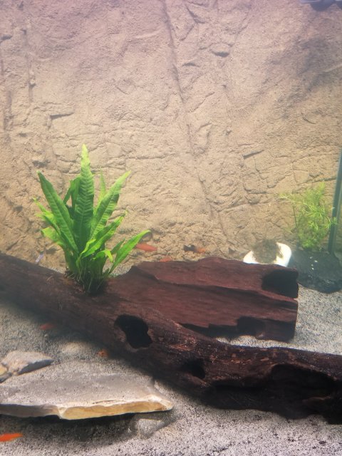 20180413_203455.jpg