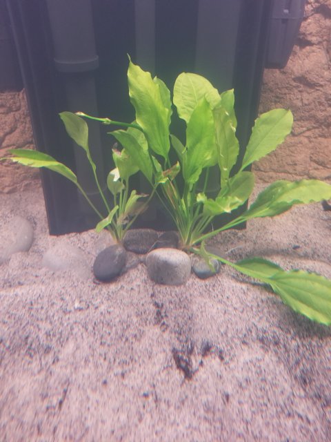 20180413_203448.jpg