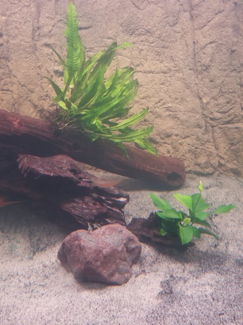 20180413_203441.jpg