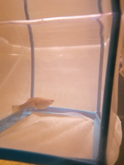 20180413_203509.jpg