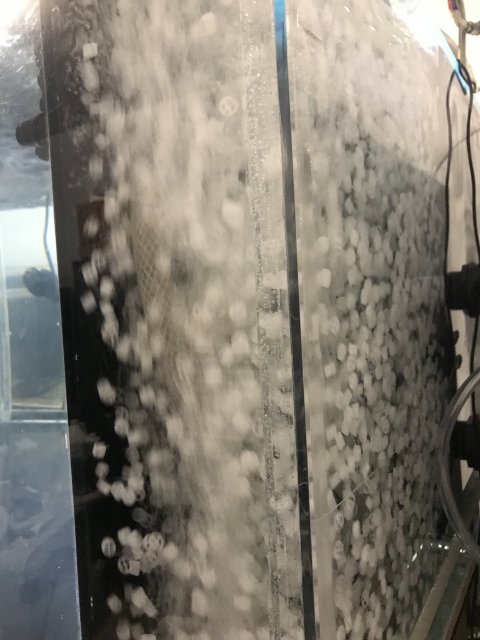 E9F69E11-B5CC-40C9-A1A6-65E0B0882D8B.jpeg